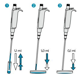 Caratteristiche Micropipette